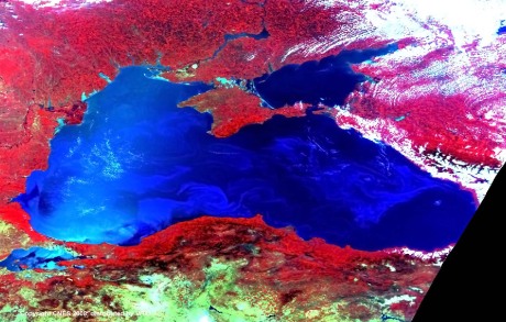 Phytoplancton dans la Mer Noire - "by courtesy of the VEGETATION Programme, produced by VITO"